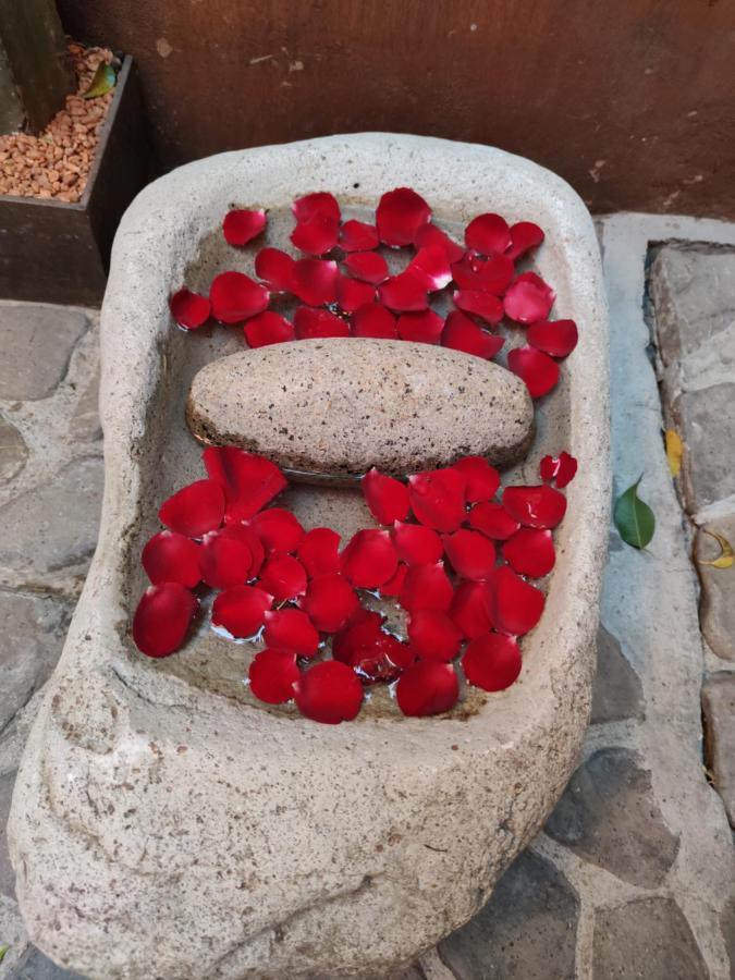 فندق Casa Carmen Reforma Oaxaca المظهر الخارجي الصورة