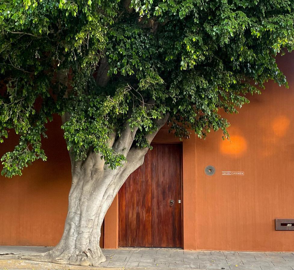فندق Casa Carmen Reforma Oaxaca المظهر الخارجي الصورة