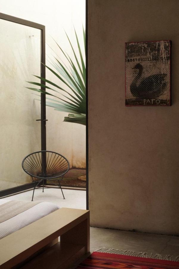 فندق Casa Carmen Reforma Oaxaca المظهر الخارجي الصورة
