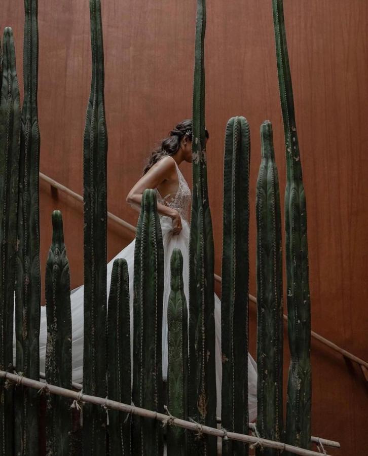 فندق Casa Carmen Reforma Oaxaca المظهر الخارجي الصورة