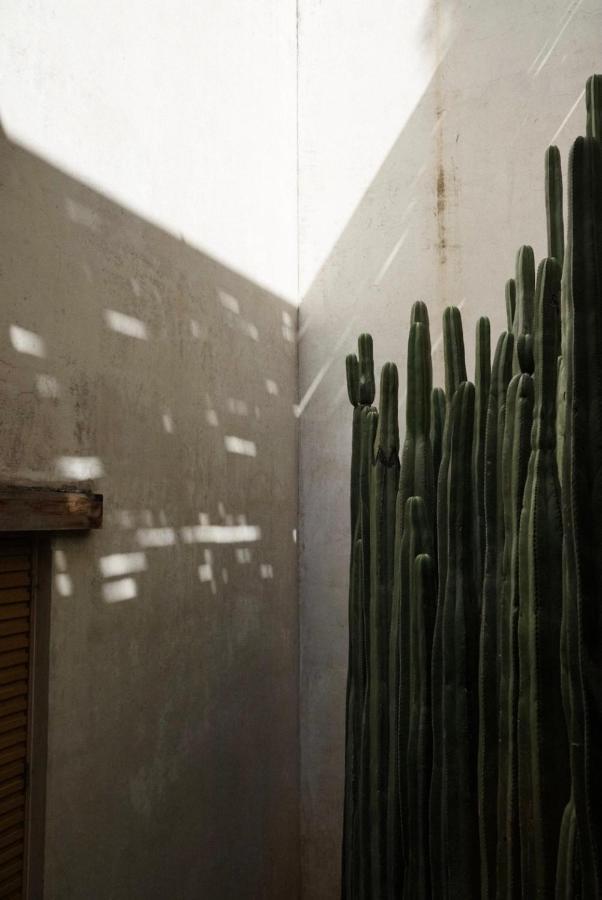 فندق Casa Carmen Reforma Oaxaca المظهر الخارجي الصورة