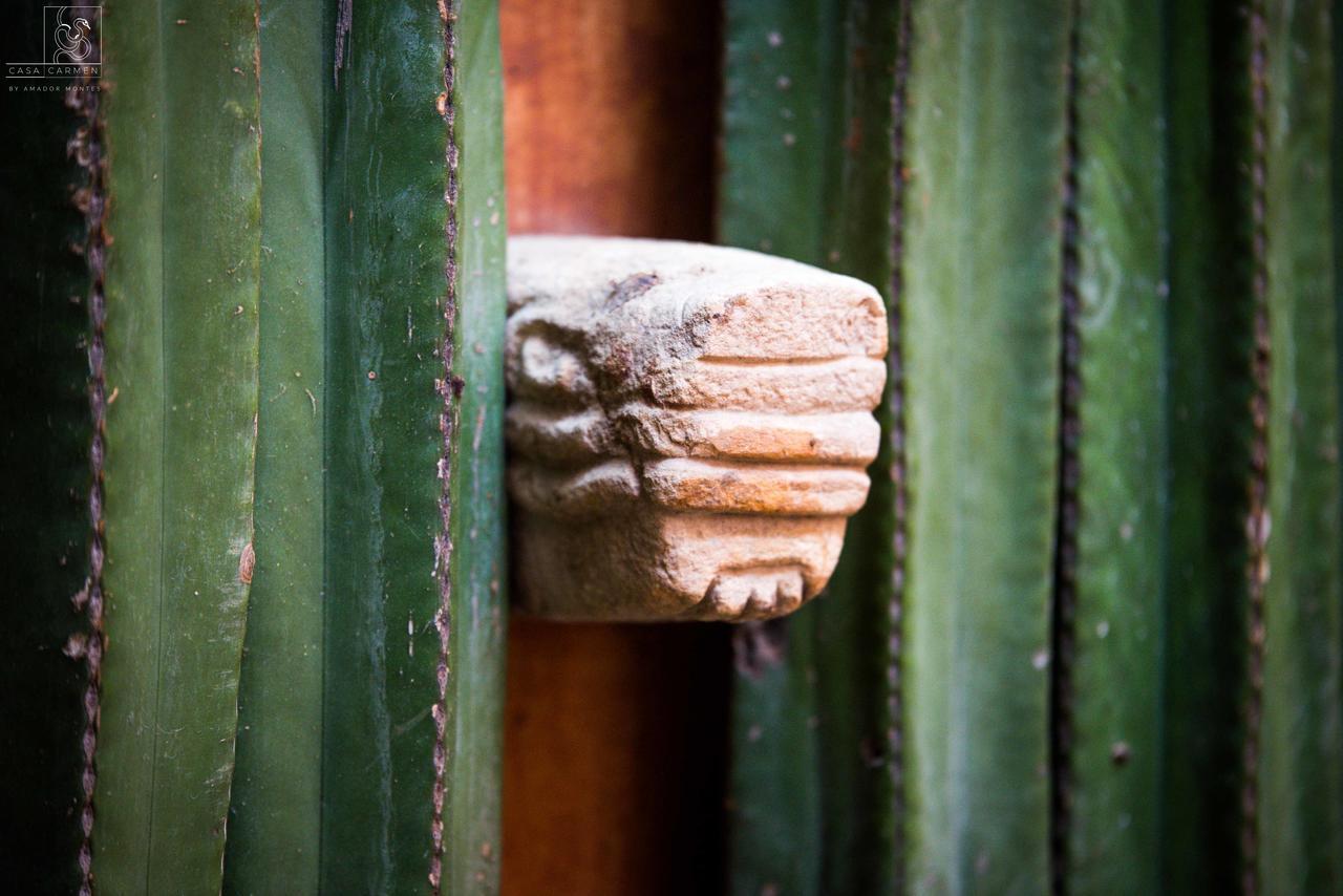 فندق Casa Carmen Reforma Oaxaca المظهر الخارجي الصورة