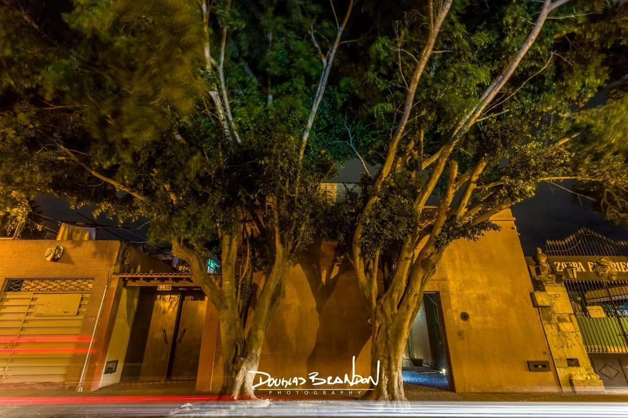 فندق Casa Carmen Reforma Oaxaca المظهر الخارجي الصورة
