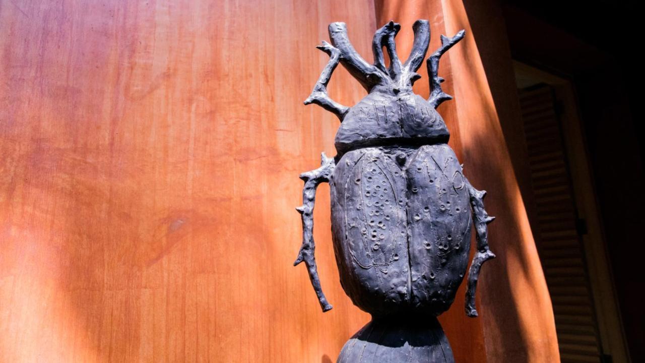 فندق Casa Carmen Reforma Oaxaca المظهر الخارجي الصورة