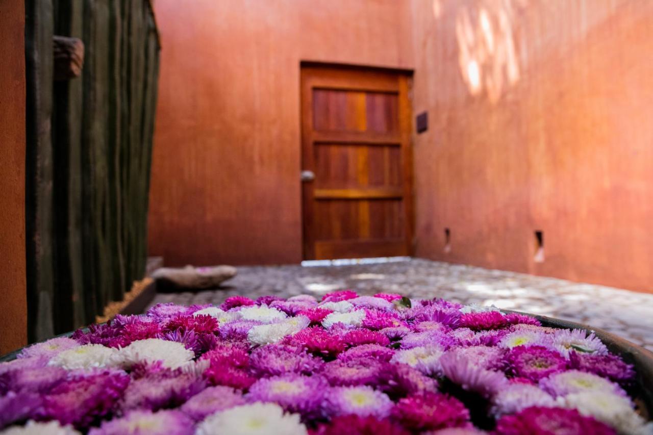 فندق Casa Carmen Reforma Oaxaca المظهر الخارجي الصورة